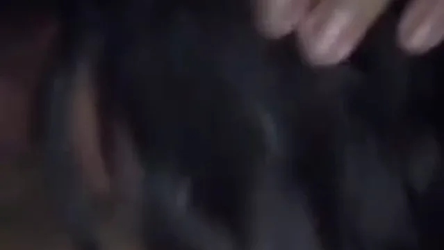 Namorada chupando a verga vídeo íntimo do casal caiu na rede